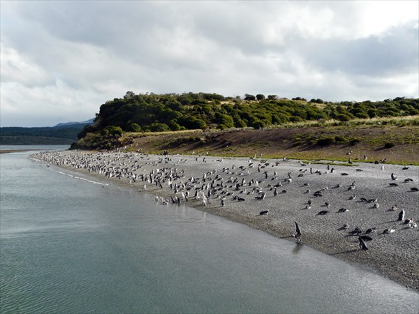 остров Пингвинов